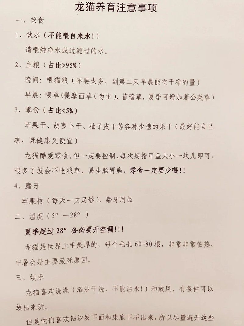 養龍貓的10個忠告，新手必知！養龍貓的