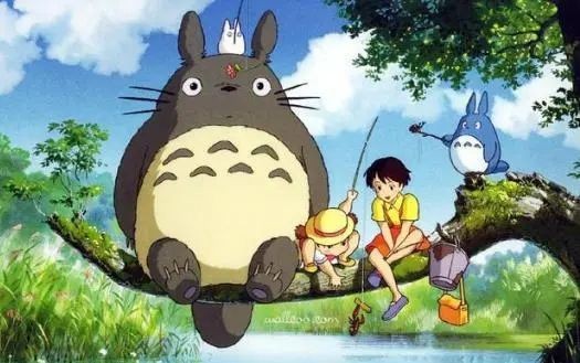 養龍貓的10個忠告，新手必知！養龍貓的