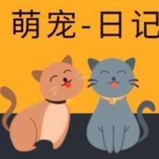 養龍貓的10個忠告，新手必知！養龍貓的