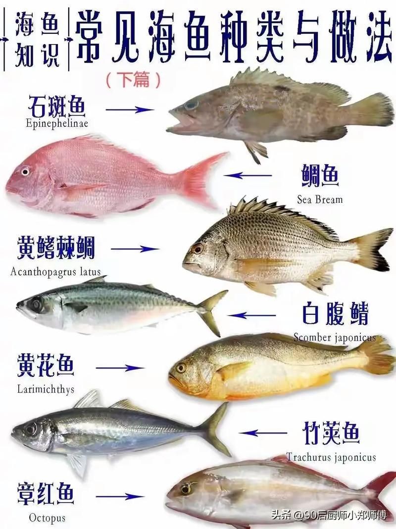 海魚品種圖片，高清海魚品種大全，珍稀海洋魚類