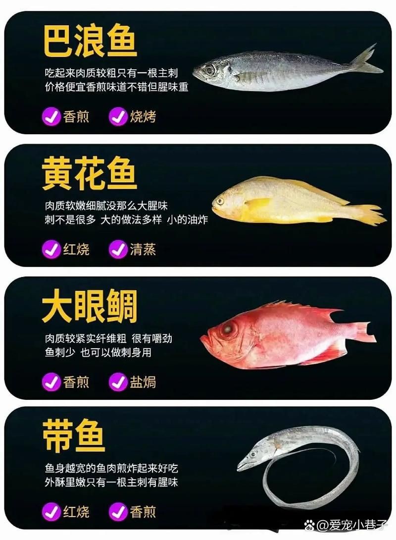 海魚品種圖片，高清海魚品種大全，珍稀海洋魚類