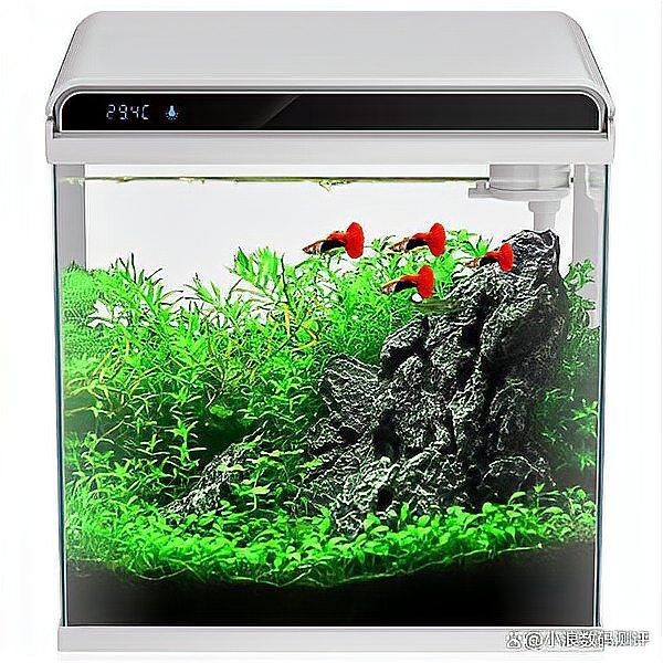 九鼎魚(yú)缸最建議買(mǎi)的三個(gè)型號(hào)，??九鼎魚(yú)缸閉眼入指南｜這