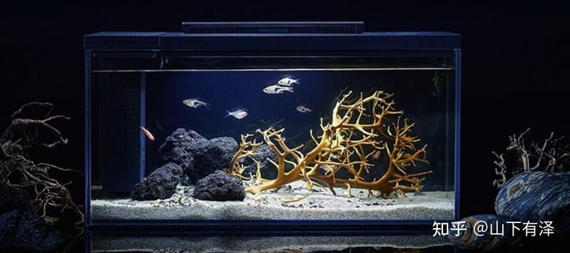 九鼎魚缸最建議買的三個型號，??九鼎魚缸閉眼入指南｜這