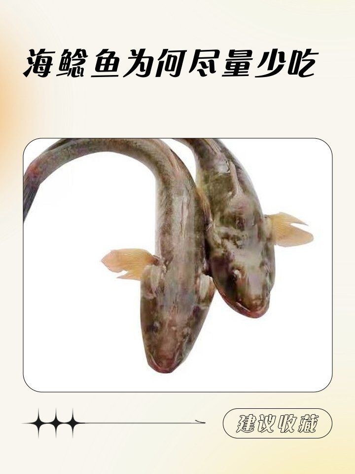 海鯰魚可以吃嗎，海鯰魚究竟能不能吃？一文解答你的飲食疑惑