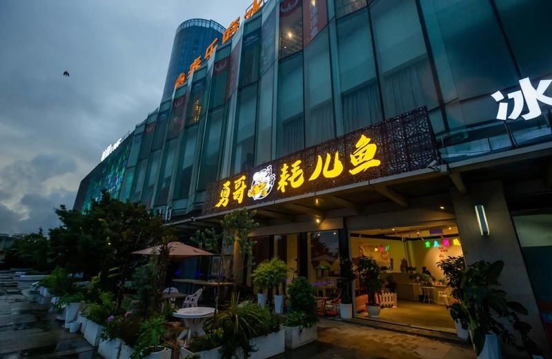 安順龍魚店，安順龍魚店，專業(yè)水族珍品