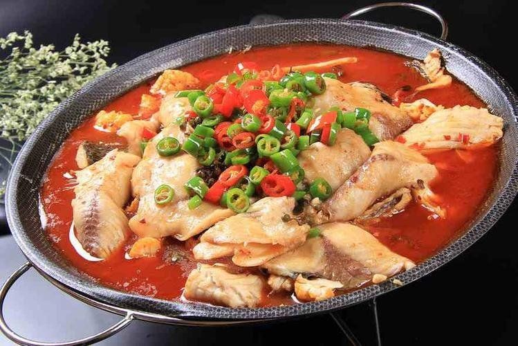 安順龍魚店，安順龍魚店，專業(yè)水族珍品