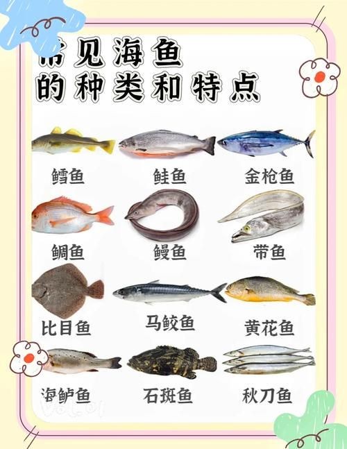 海魚類圖片，高清海洋魚類圖片大全，探索多彩水下世界的