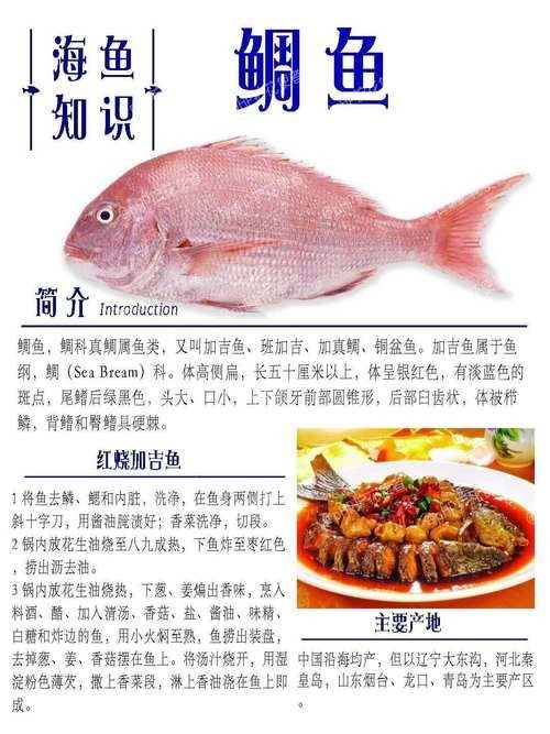 海魚類圖片，高清海洋魚類圖片大全，探索多彩水下世界的
