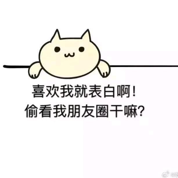 海象魚，探秘海洋奇觀，海象魚的奇妙生態與生存 海象魚，探秘海洋奇觀，海象魚的奇妙生態與生存 龍魚論壇 第12張