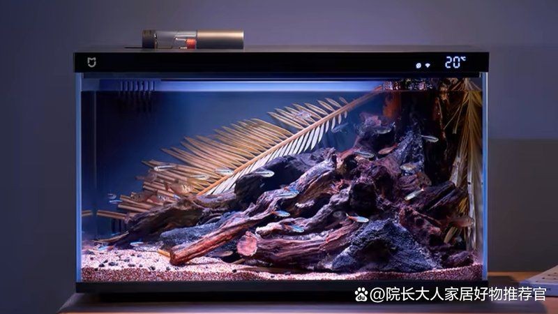 六安魚缸批發(fā)市場，六安專業(yè)魚缸批發(fā)市場一站式 六安魚缸批發(fā)市場，六安專業(yè)魚缸批發(fā)市場一站式 全國水族館企業(yè)名錄 第2張