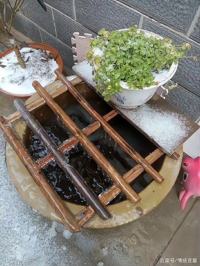 古法養魚一年不換水行嗎，揭秘古法養魚，真能實現全年免換水的生態奇跡 古法養魚一年不換水行嗎，揭秘古法養魚，真能實現全年免換水的生態奇跡 全國水族館企業名錄 第16張