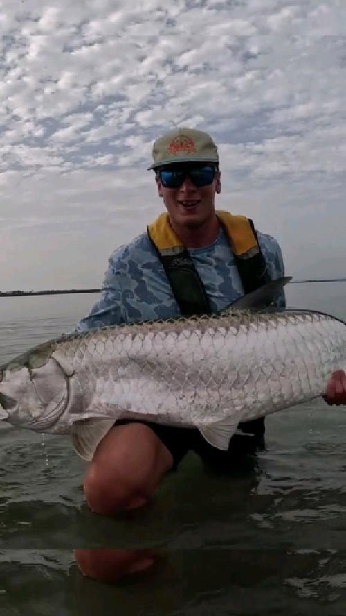 海鰱魚圖片大全大圖，高清海鰱魚圖片大全，超 海鰱魚圖片大全大圖，高清海鰱魚圖片大全，超 龍魚論壇 第11張