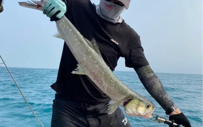海鰱魚圖片大全大圖，高清海鰱魚圖片大全，超 海鰱魚圖片大全大圖，高清海鰱魚圖片大全，超 龍魚論壇 第3張