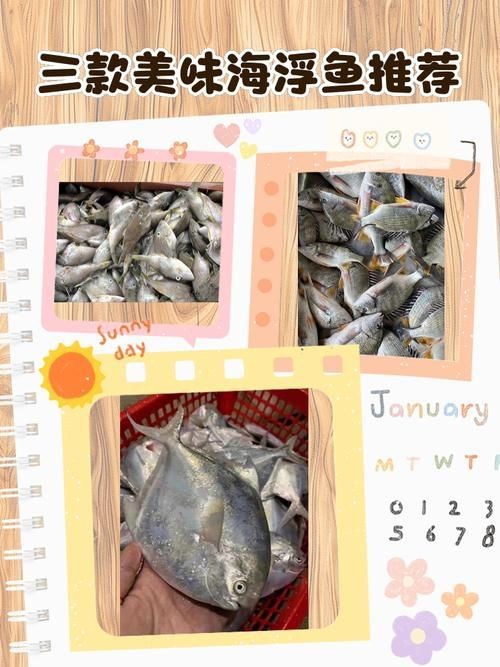 海浮魚圖片，高清海浮魚圖片大全，水下精靈的絕美身 海浮魚圖片，高清海浮魚圖片大全，水下精靈的絕美身 龍魚論壇 第5張