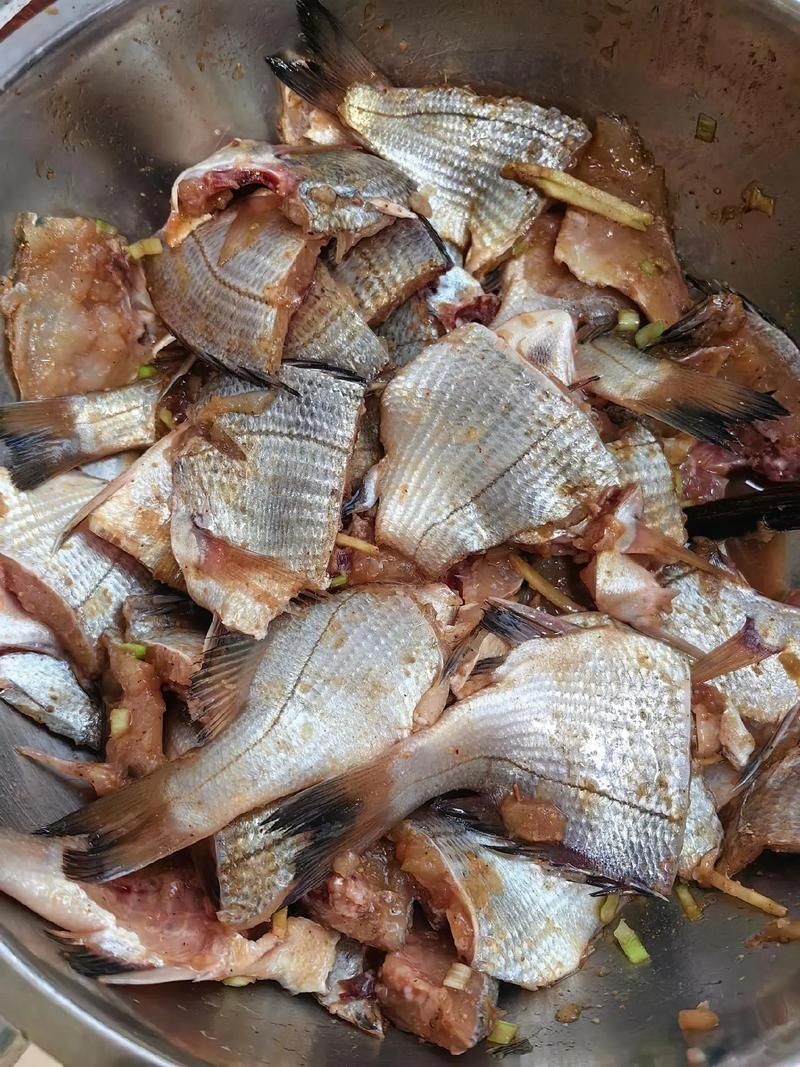 海浮魚圖片，高清海浮魚圖片大全，水下精靈的絕美身 海浮魚圖片，高清海浮魚圖片大全，水下精靈的絕美身 龍魚論壇 第18張