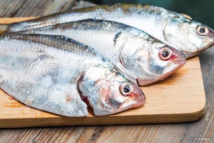 海浮魚圖片，高清海浮魚圖片大全，水下精靈的絕美身 海浮魚圖片，高清海浮魚圖片大全，水下精靈的絕美身 龍魚論壇 第10張