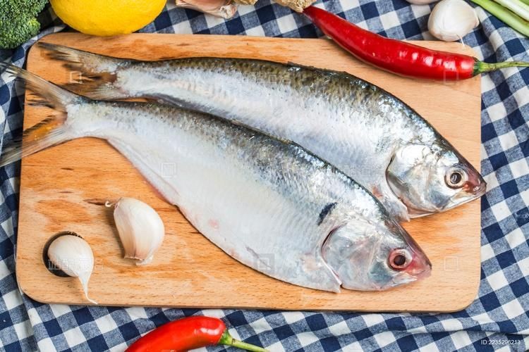 海浮魚圖片，高清海浮魚圖片大全，水下精靈的絕美身 海浮魚圖片，高清海浮魚圖片大全，水下精靈的絕美身 龍魚論壇 第9張