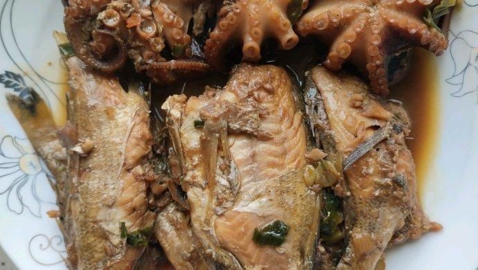 海浮魚圖片，高清海浮魚圖片大全，水下精靈的絕美身 海浮魚圖片，高清海浮魚圖片大全，水下精靈的絕美身 龍魚論壇 第3張