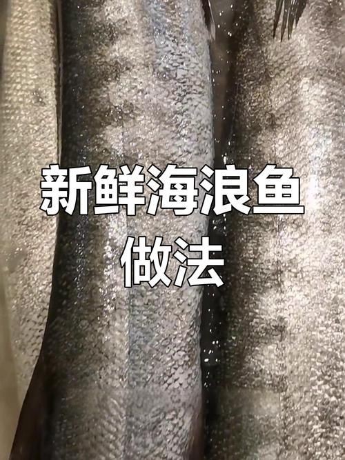 海浮魚圖片，高清海浮魚圖片大全，水下精靈的絕美身 海浮魚圖片，高清海浮魚圖片大全，水下精靈的絕美身 龍魚論壇 第20張