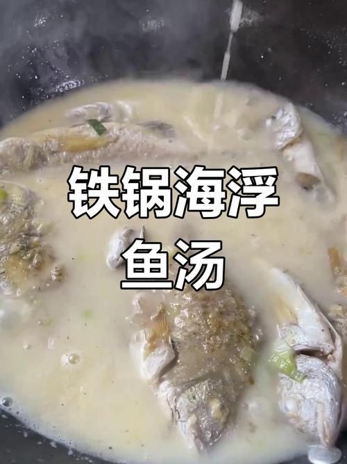 海浮魚圖片，高清海浮魚圖片大全，水下精靈的絕美身 海浮魚圖片，高清海浮魚圖片大全，水下精靈的絕美身 龍魚論壇 第23張