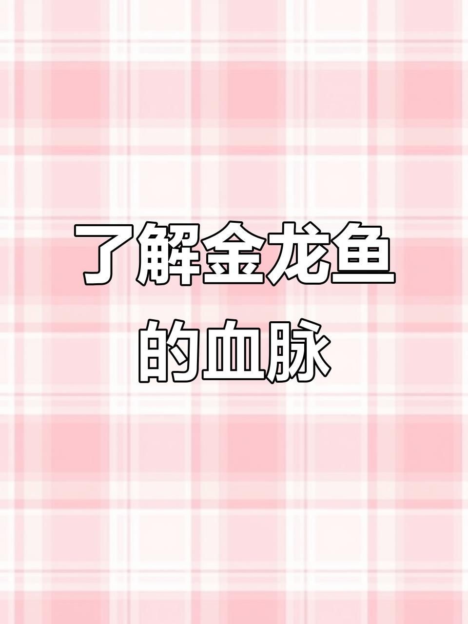 過(guò)背金龍魚(yú)又分為哪幾種，過(guò)背金龍魚(yú)品種分類全解析