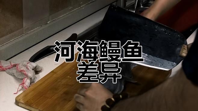 海鰻和河鰻的區別，海鰻與河鰻大不同！從生長環境到食用