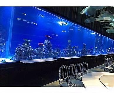 臨沂魚缸定做，臨沂專業魚缸定做按需設計·品質保障·廠家直