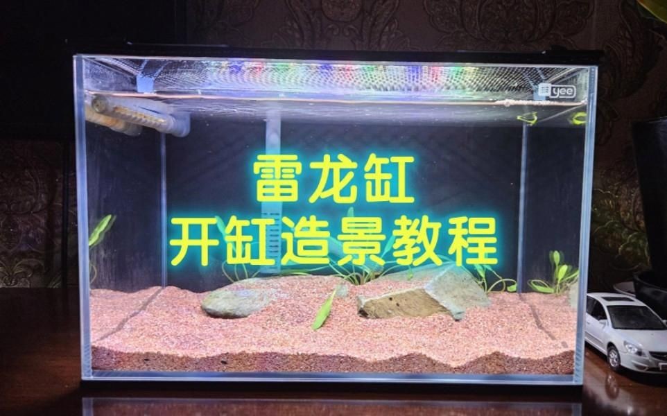 酒紅雷龍魚底砂怎么選，酒紅雷龍魚飼養必備，優質底砂挑選全
