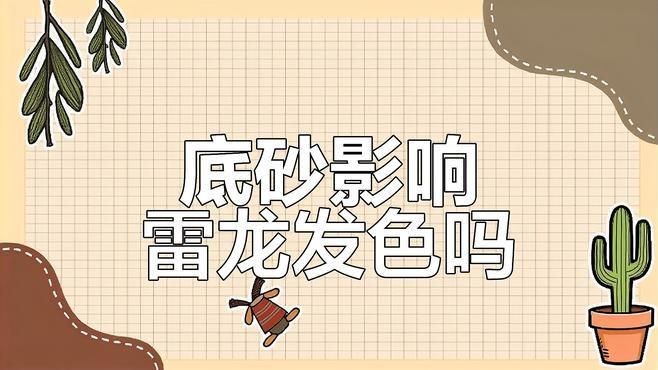酒紅雷龍魚底砂怎么選，酒紅雷龍魚飼養必備，優質底砂挑選全