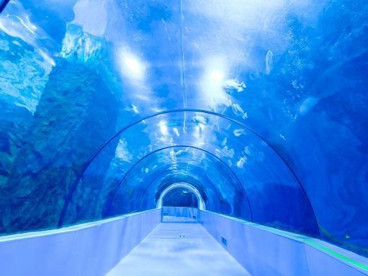 臺州水族館，探秘臺州水族館，
