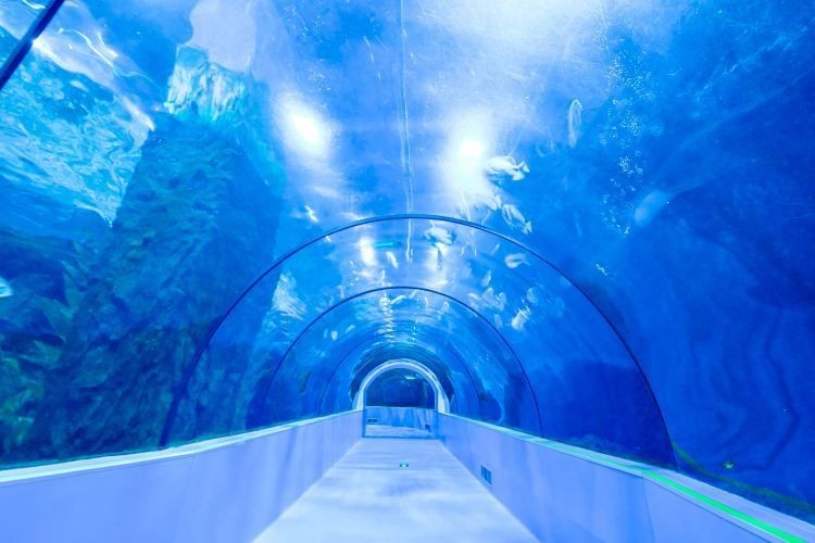 臺州水族館，探秘臺州水族館，