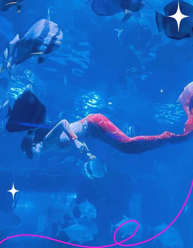 臺州水族館，探秘臺州水族館，
