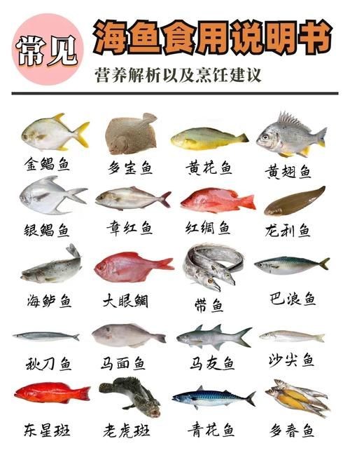 海魚圖片大全，高清海魚圖片大全，