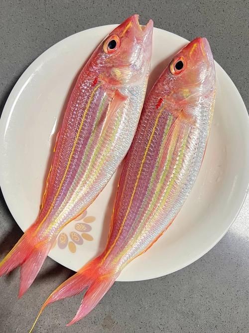海魚圖片大全，高清海魚圖片大全，