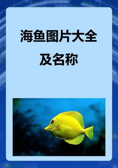 海魚圖片大全，高清海魚圖片大全，