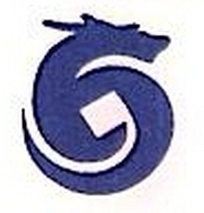 廣東省興龍實業有限公司，關于廣東省興龍實業有限公司的綜合發展