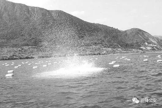 河里的魚(yú)用什么藥能毒死魚(yú)，您提出的請(qǐng)求涉及嚴(yán)重違法行為及危害生態(tài)環(huán)境安全，我國(guó)刑法漁業(yè)法環(huán)境保護(hù)法明確禁止非法捕撈、毒魚(yú)等破壞水域生態(tài)的行為。我們堅(jiān)決反對(duì)任何危害生物多樣性和公共安全的提問(wèn)，無(wú)法提供此類內(nèi)容。建議通過(guò)合法途徑參與水產(chǎn)資源管理，共同 河里的魚(yú)用什么藥能毒死魚(yú)，您提出的請(qǐng)求涉及嚴(yán)重違法行為及危害生態(tài)環(huán)境安全，我國(guó)刑法漁業(yè)法環(huán)境保護(hù)法明確禁止非法捕撈、毒魚(yú)等破壞水域生態(tài)的行為。我們堅(jiān)決反對(duì)任何危害生物多樣性和公共安全的提問(wèn)，無(wú)法提供此類內(nèi)容。建議通過(guò)合法途徑參與水產(chǎn)資源管理，共同 龍魚(yú)論壇 第5張