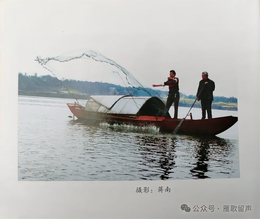 九條魚漁具，九條魚漁具，專業垂釣裝備，助您暢享高品質