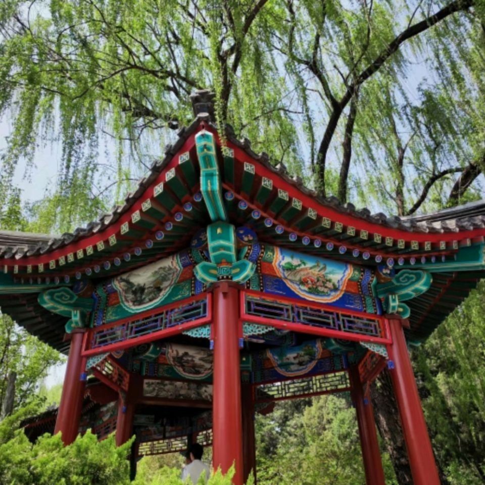 九條魚漁具，九條魚漁具，專業垂釣裝備，助您暢享高品質