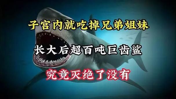 巨齒鯊吃掉大白鯊圖片，驚爆！巨齒鯊獵殺大