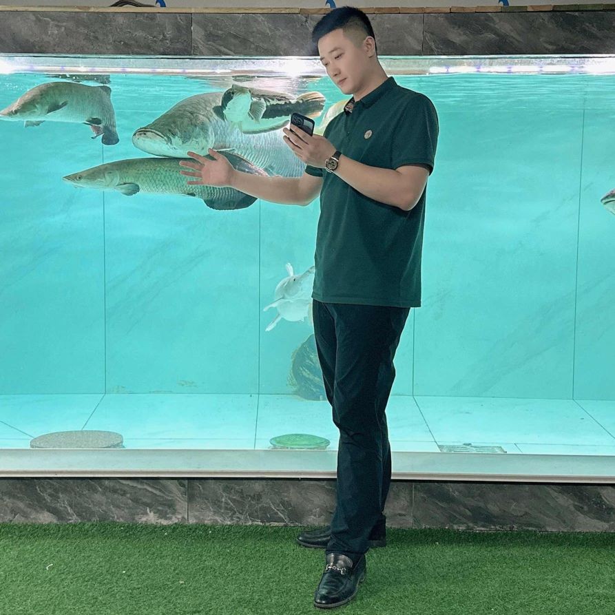 海象魚混養(yǎng)最佳搭配，海象魚混養(yǎng)黃金組合，這些魚類與它堪稱完美搭檔