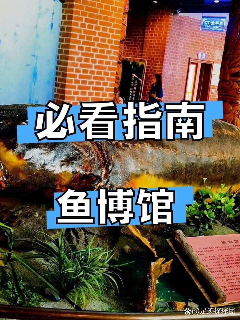 佳木斯水族店，佳木斯人氣水族店｜觀賞魚/器材/造景一站式購齊！