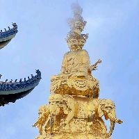家里有老鼠怎么趕走，家庭滅鼠實(shí)用妙招，快速趕走老鼠的有效方法 家里有老鼠怎么趕走，家庭滅鼠實(shí)用妙招，快速趕走老鼠的有效方法 龍魚(yú)論壇 第2張