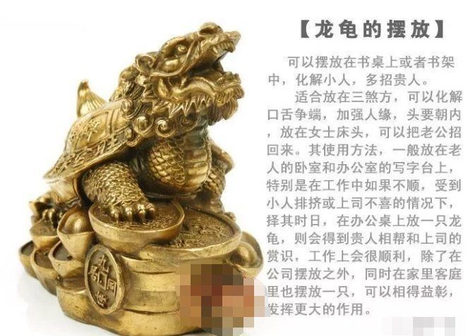 沒開光的龍龜有用嗎，未開光的龍龜真的能發揮招財化煞功效嗎？ 沒開光的龍龜有用嗎，未開光的龍龜真的能發揮招財化煞功效嗎？ 龍魚百科 第8張