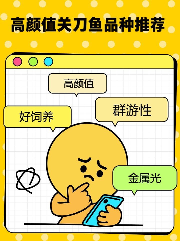 關刀魚十大排名，關刀魚TOP10權威盤點，熱門品種排名大