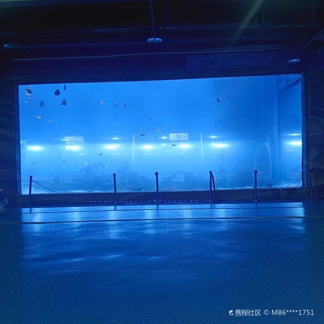 南陽水族店，南陽專業(yè)水族店｜觀賞魚/器材/造景一站式