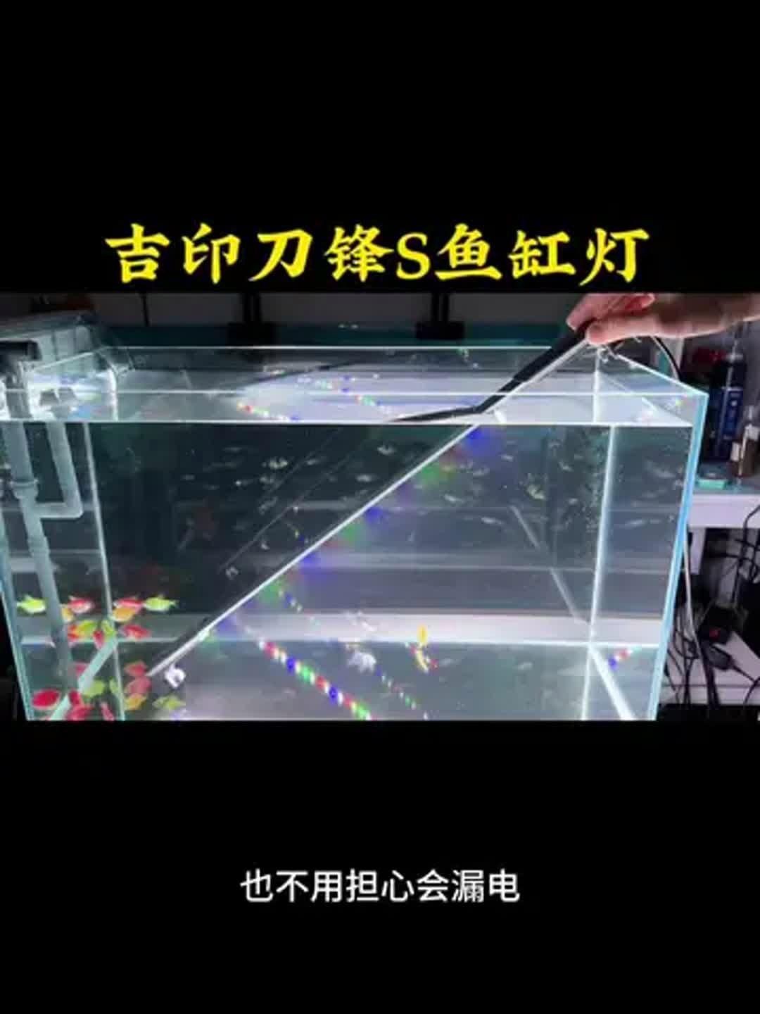 吉印魚缸燈怎么樣，實測揭秘吉印魚缸燈真實表現(xiàn)如何？光照效果/安全性/