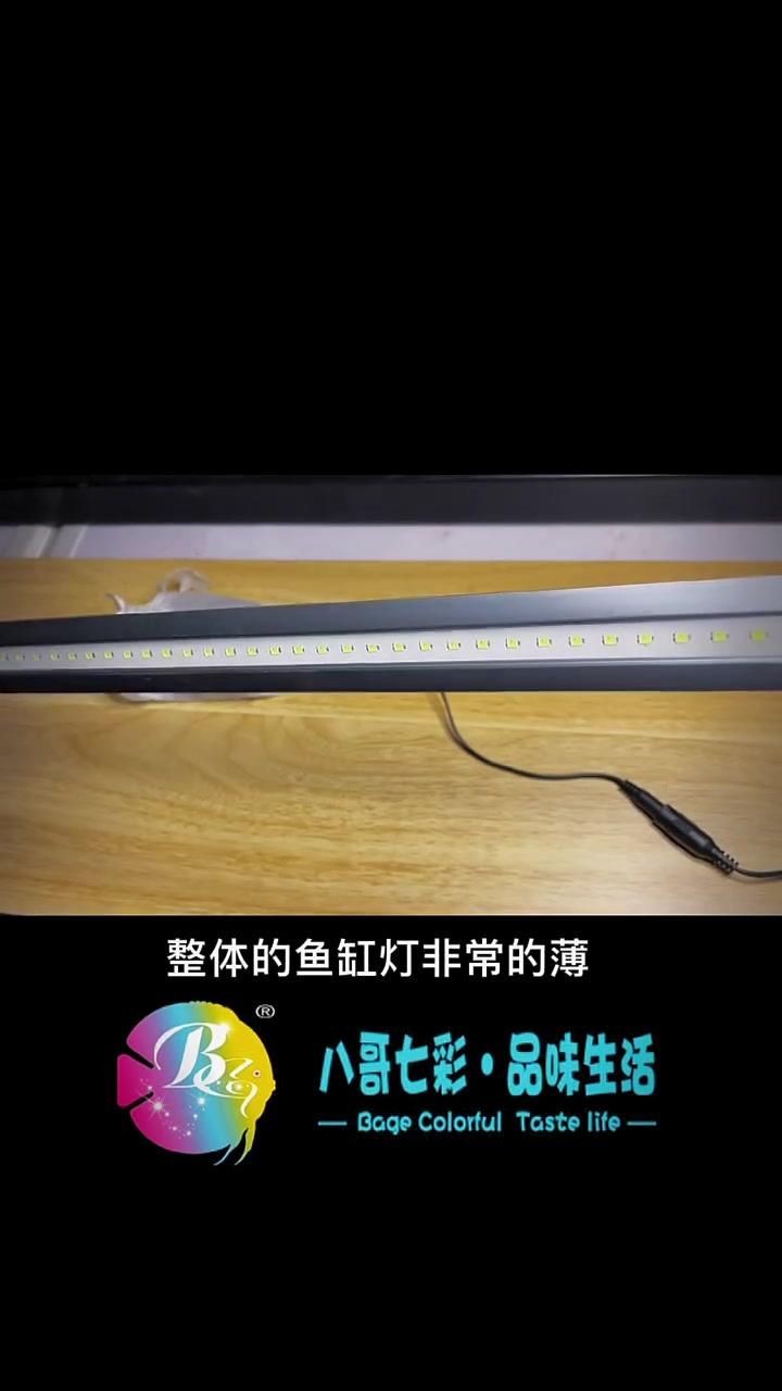 吉印魚缸燈怎么樣，實測揭秘吉印魚缸燈真實表現如何？光照效果/安全性/