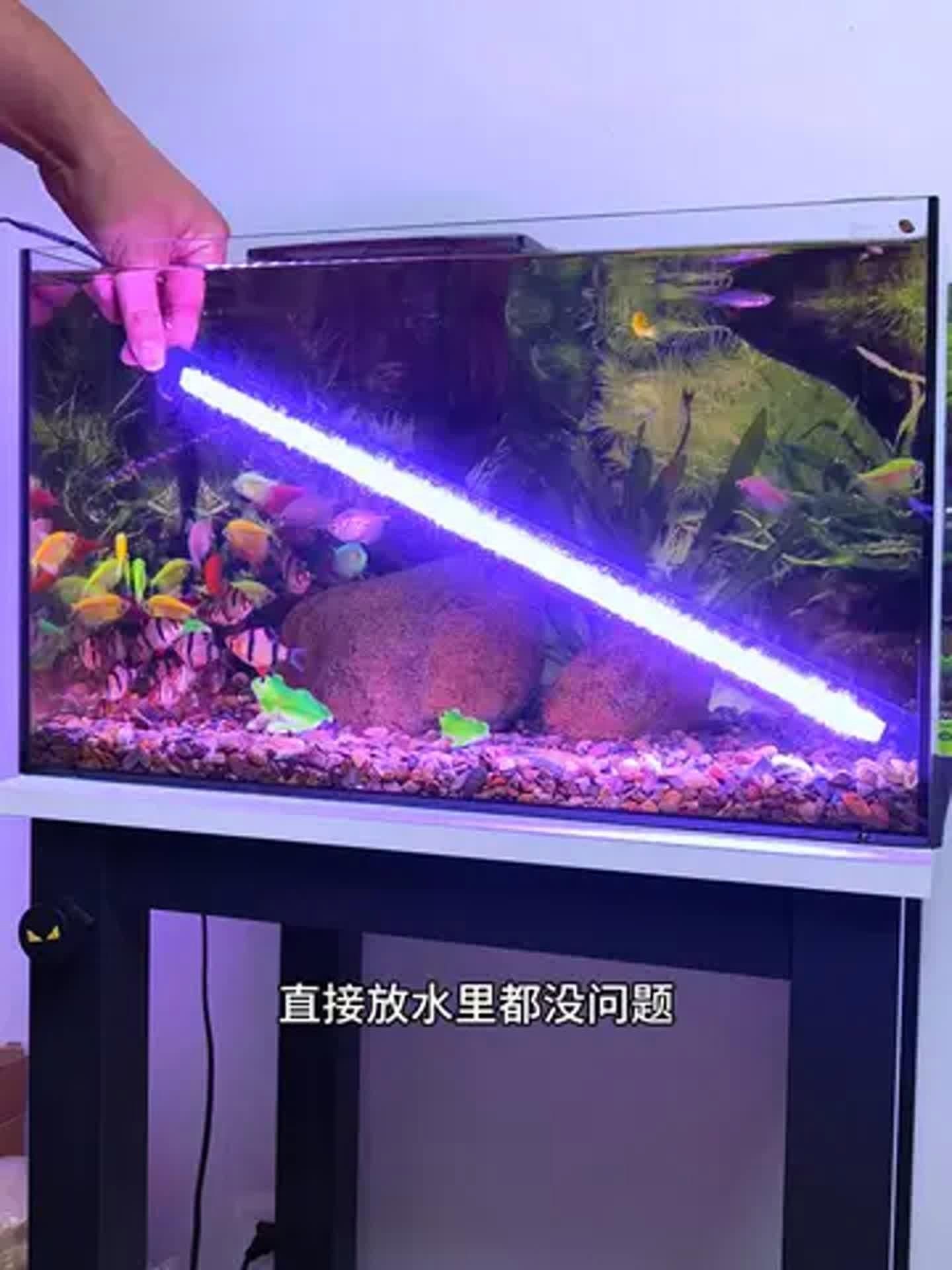 吉印魚缸燈怎么樣，實測揭秘吉印魚缸燈真實表現(xiàn)如何？光照效果/安全性/