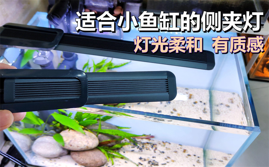 吉印魚缸燈怎么樣，實測揭秘吉印魚缸燈真實表現(xiàn)如何？光照效果/安全性/